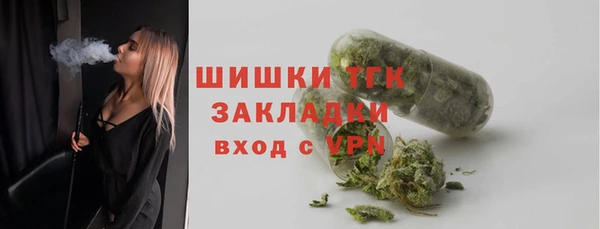 гашик Мегион