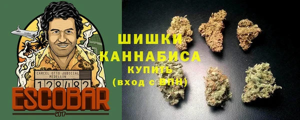 гашик Мегион
