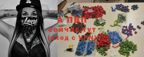 гашик Мегион