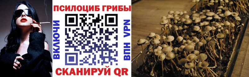 Купить где  Алушта  Галлюциногенные грибы прущие грибы 